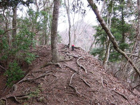20200204hike (240)